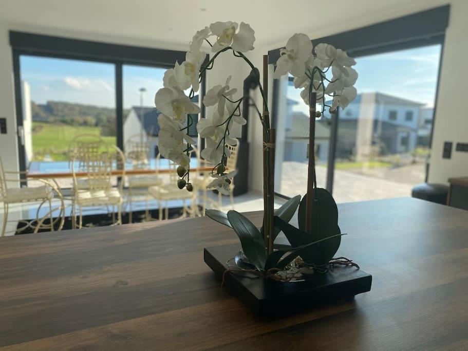 Princesse Neuve & Grand Standing ! Vakantiehuis *